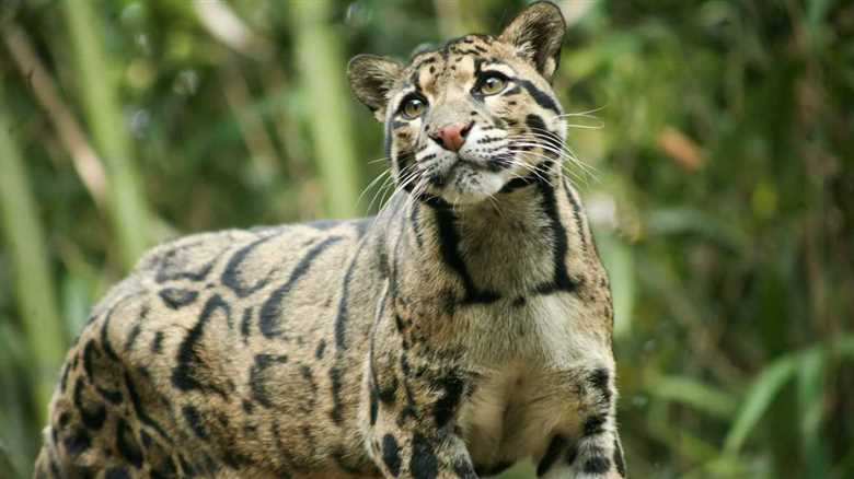 Pittsburgh-Area Petting Zoo Welcomes Surprising New Animal