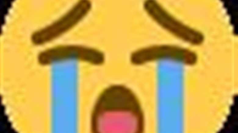 Dog Gets Cactus Stuck On Its Head Owner Films Entire Ordeal