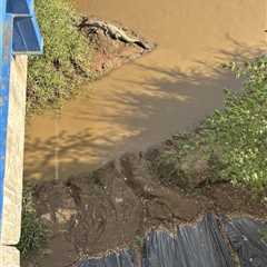 Can You Find the TWO Crocs in This Photo?