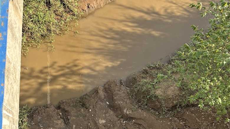 Can You Find the TWO Crocs in This Photo?