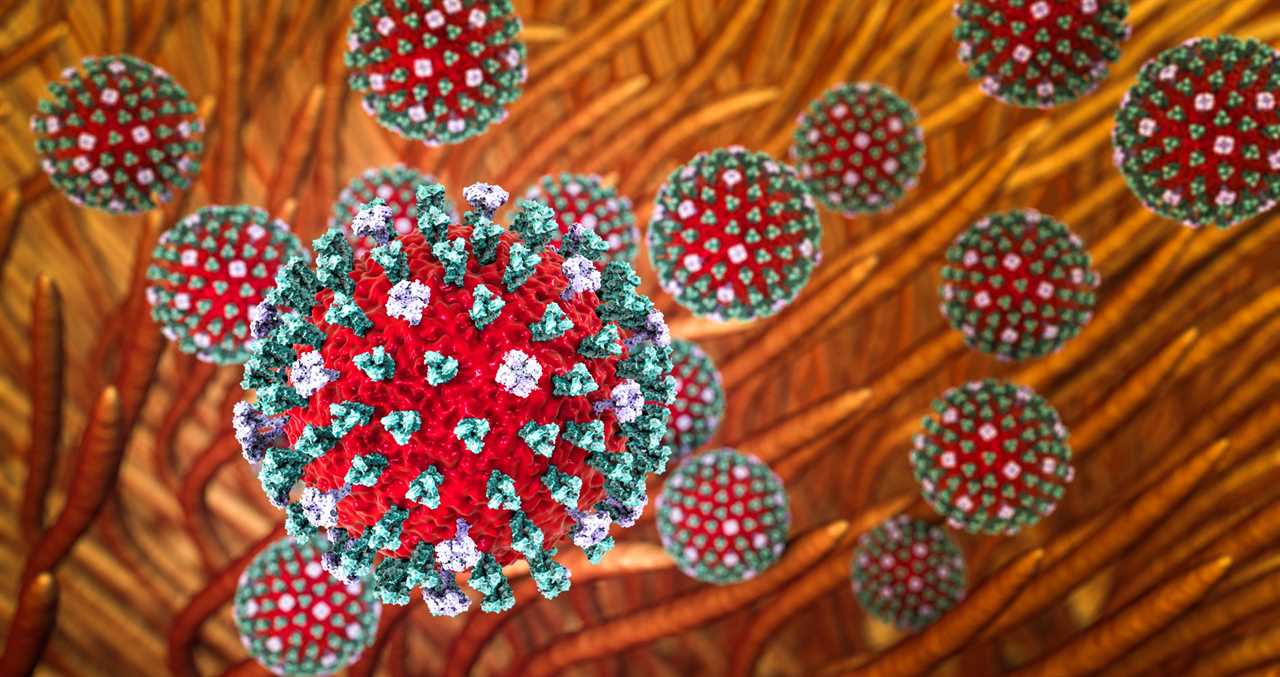 Popular Bay Area Park Closes After Experts Found Cases Of Bird Flu And Dead Animals