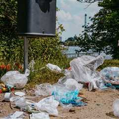 National Park Authorities Issue Warning After Common But Serious Finding