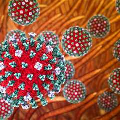 Popular Bay Area Park Closes After Experts Found Cases Of Bird Flu And Dead Animals