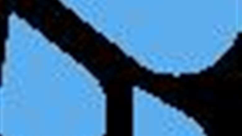 WATCH: Elk Get the ‘Zoomies’ in the Middle of a Colorado Lake