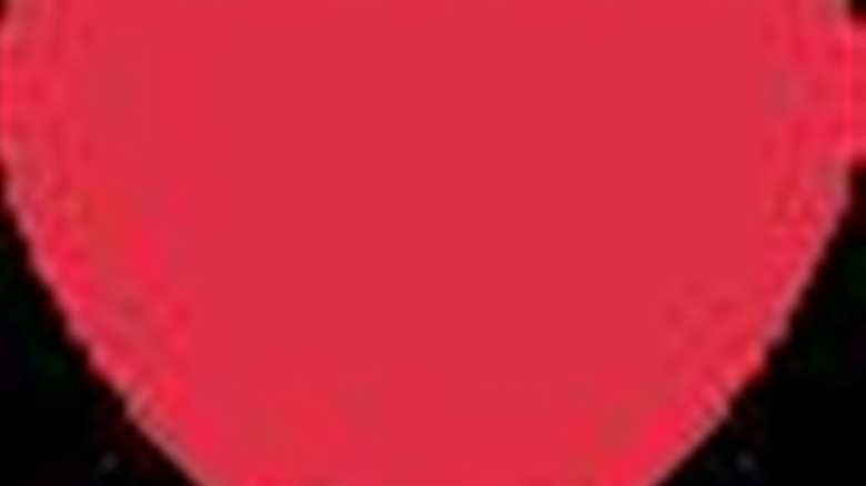 Steve Irwin’s Family Honors Him On What Would Have Been His 64th Birthday