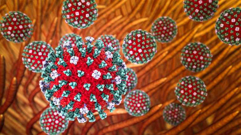 Popular Bay Area Park Closes After Experts Found Cases Of Bird Flu And Dead Animals