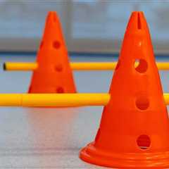 College Student Comes Up With Creative Way To Help Her Overweight Cat Lose Weight