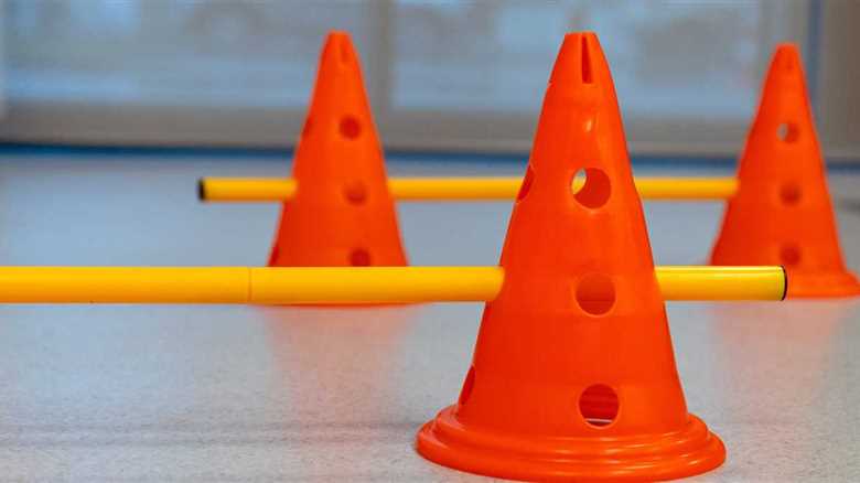 College Student Comes Up With Creative Way To Help Her Overweight Cat Lose Weight