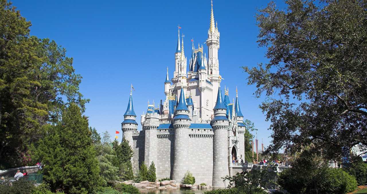 An Opossum Surprises Disney Diners