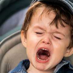 Toddler Is Injured After Sticking His Hand Into A Wolf Enclosure At Zoo