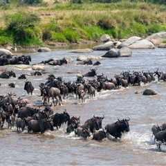 Wildlife Concerns Surge After Kenya Court Makes Their Ruling Over A Luxury Safari Camp