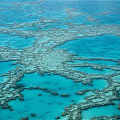 Scientists Discuss Tactics To Save Coral Reefs From Heat Waves