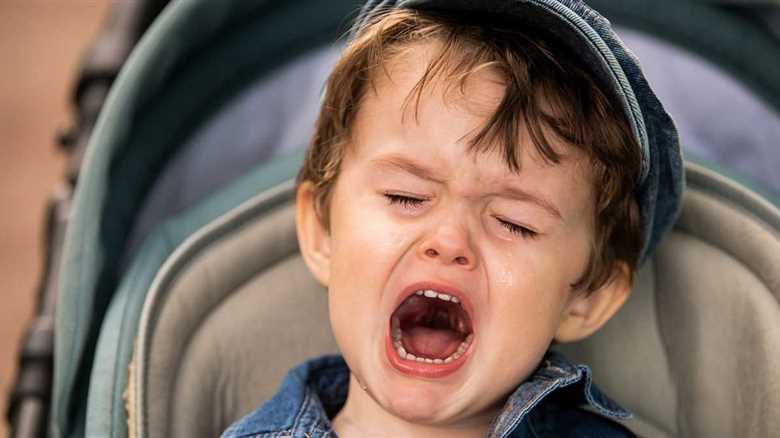 Toddler Is Injured After Sticking His Hand Into A Wolf Enclosure At Zoo