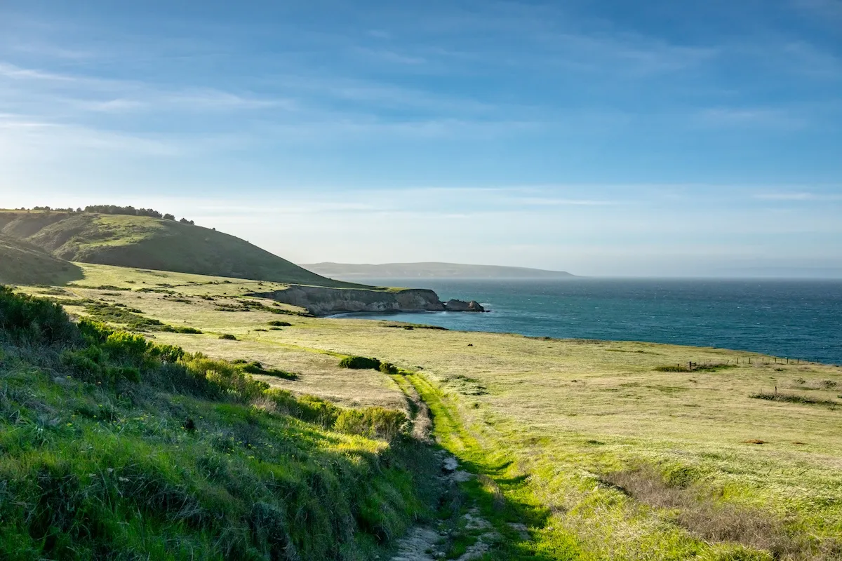 Sailor’s S.O.S May Have Sparked Fire in Channel Islands National Park