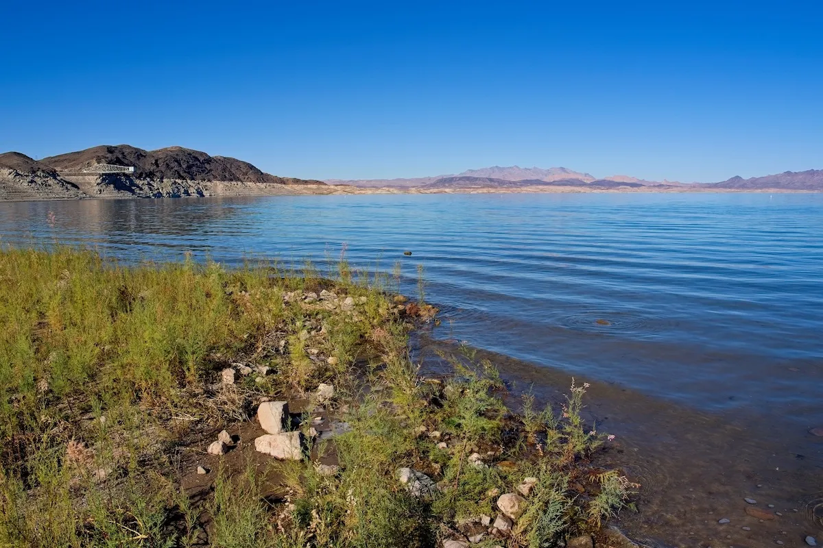 Fatal Amoeba Discovered in These National Parks’ Water Bodies