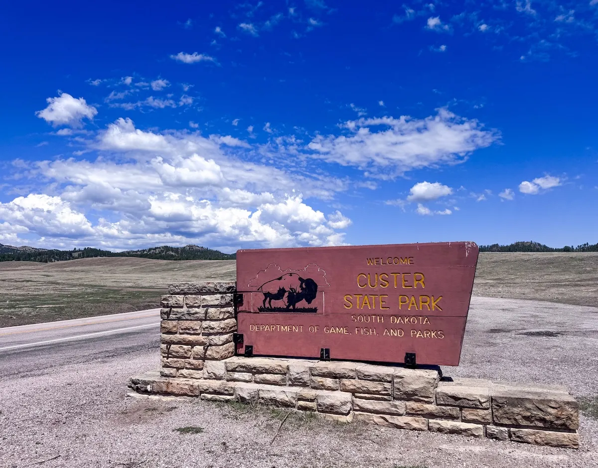 Bison Charges and Kills Hiker in South Dakota’s Custer State Park