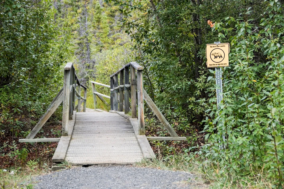 bear bridge