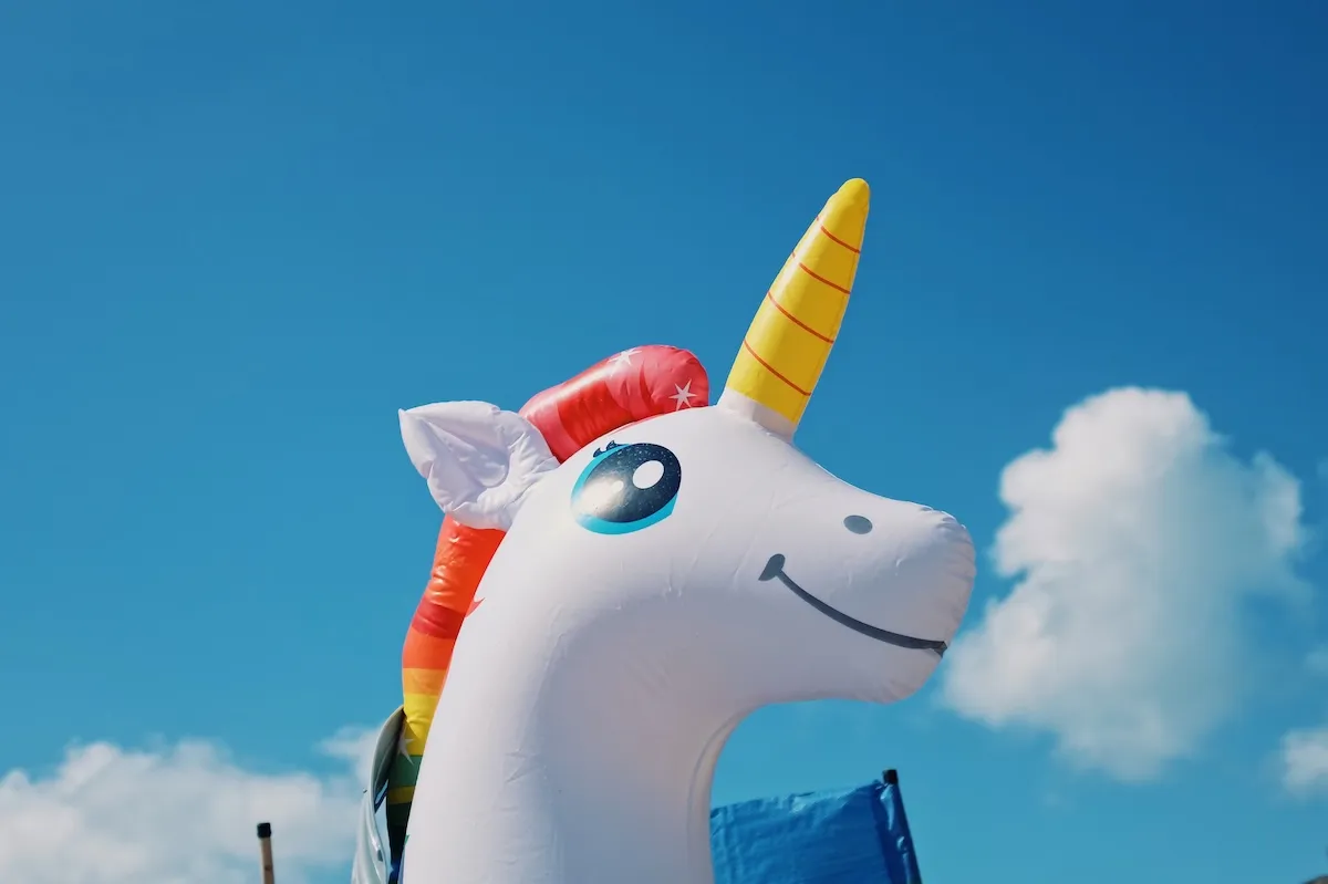 Man Jumps off Bridge With Unicorn Pool Floatie (Video)