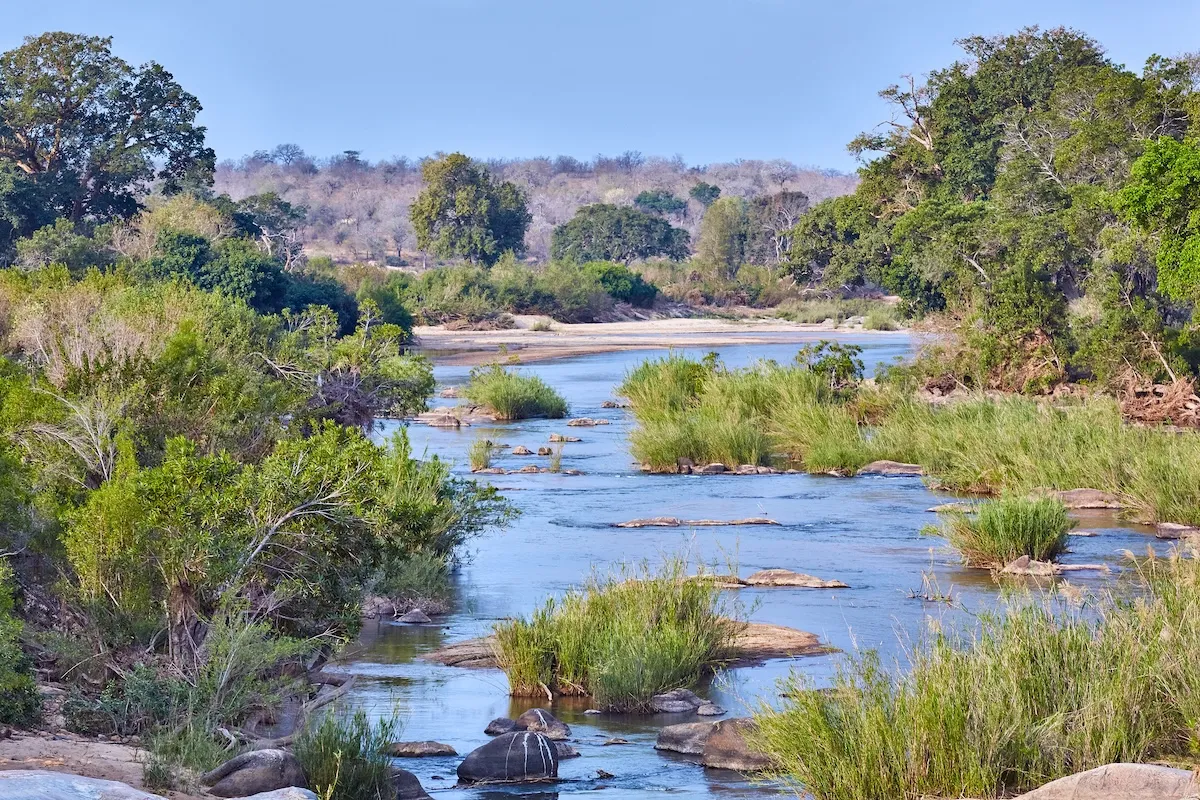 Suspects Arrested for Murder of Tourists in Kruger National Park
