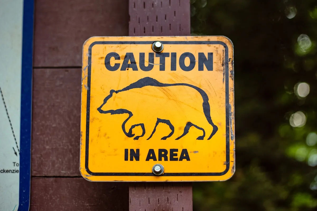 WATCH: Bears Break Into Locked RV at Campground