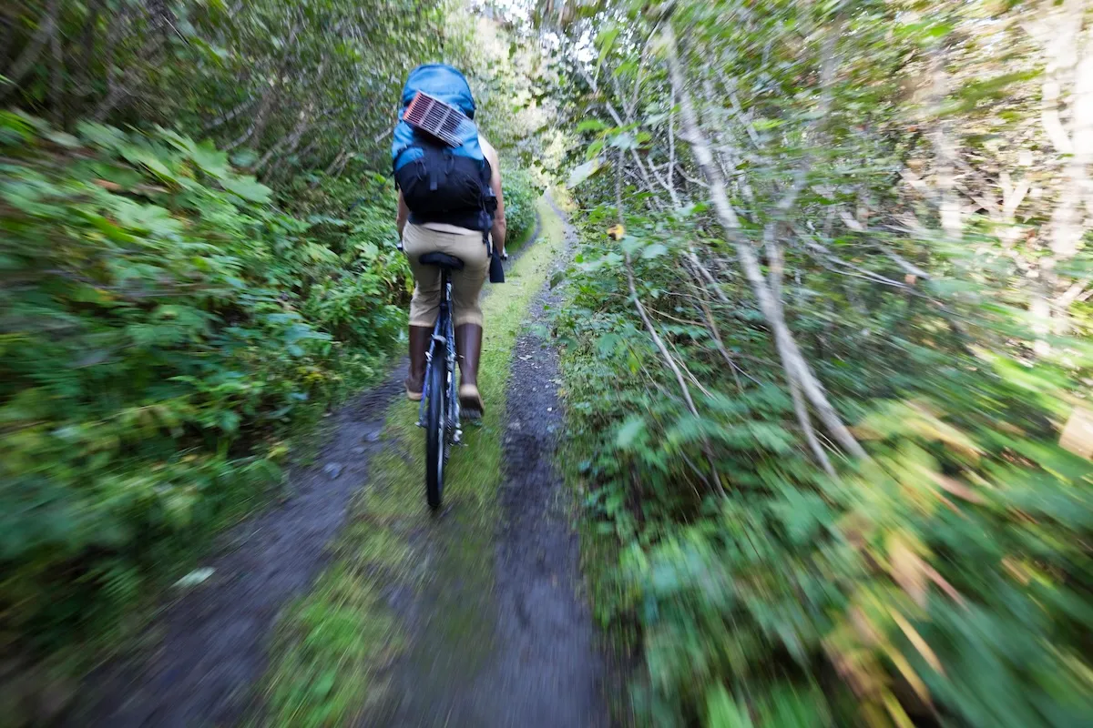 Brown Bear Attacks Mountain Biker on Trail in Alaska