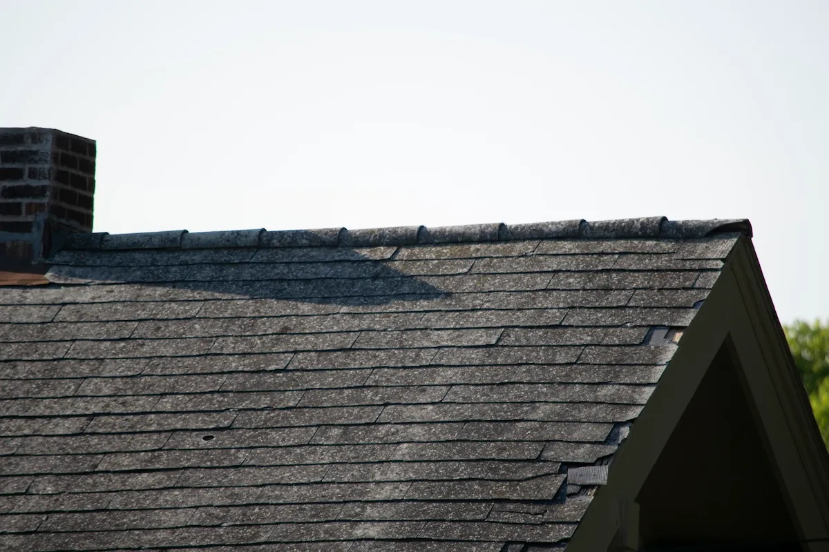 Homeowner Hears Scratching in Roof, and It’s Not What You Think