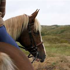 Horseback Rider Finds Speakers Playing Creepy Sounds on Trail