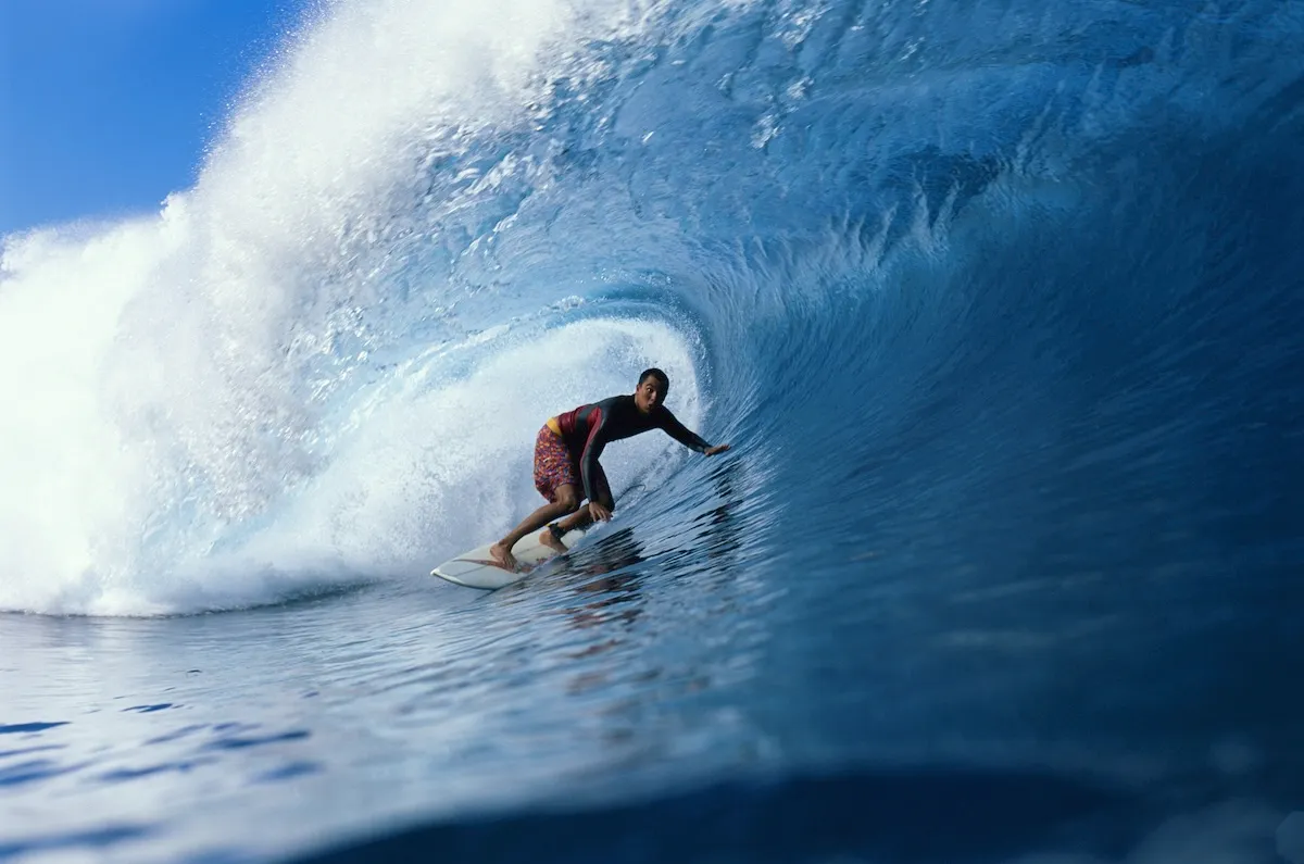 Epic Footage Shows Surfer and Dolphins in a Barrel Wave (Video)