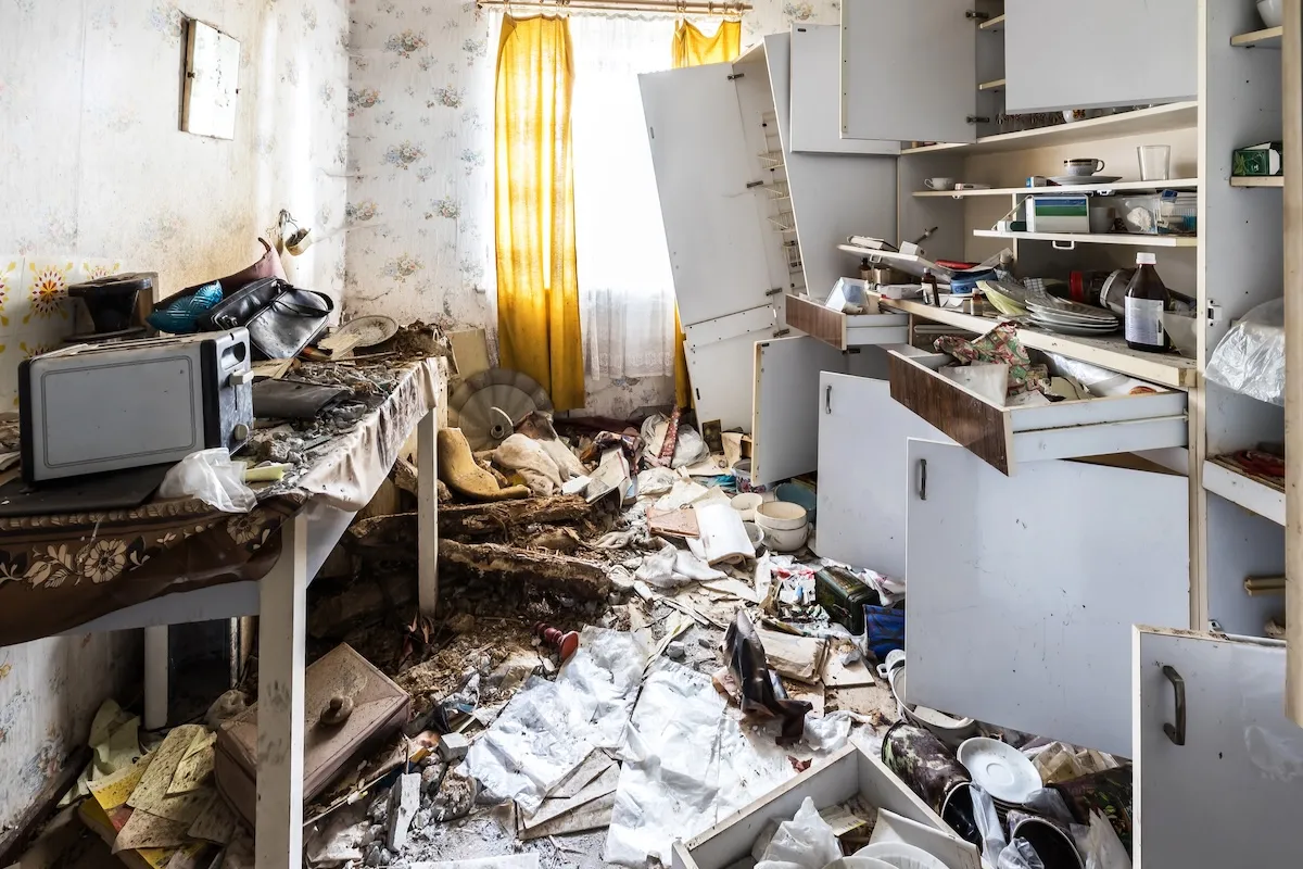 Bear Leaves Home in Complete Disarray (See Damage)