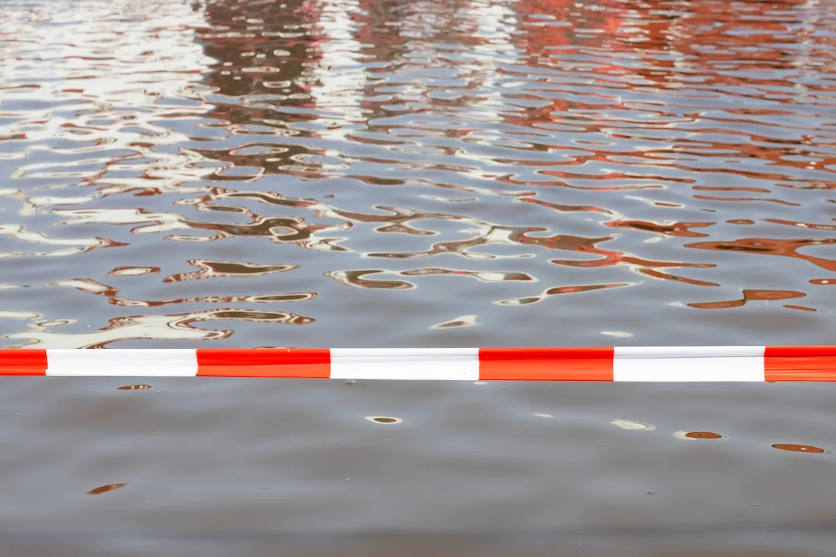 WATCH: Dangerous Flooding Carries Away Deer in Texas