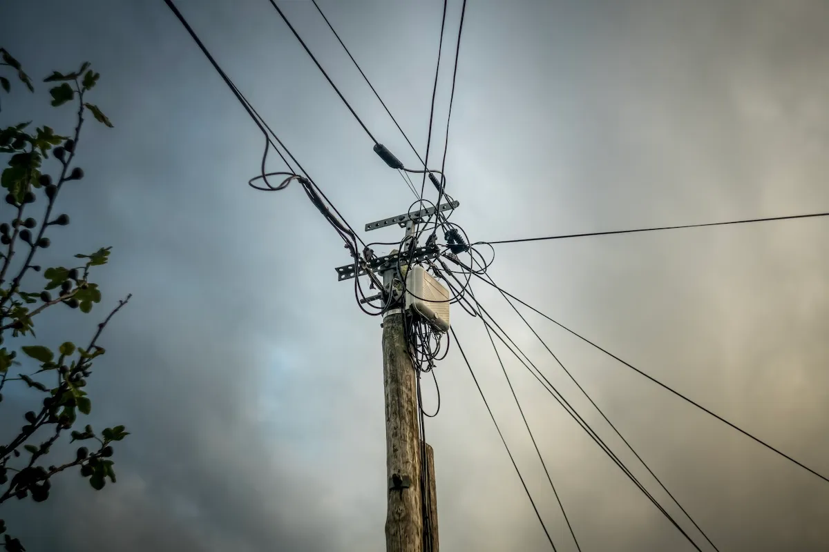 Bear Stuck on New Mexico Power Pole Dies by Electrocution
