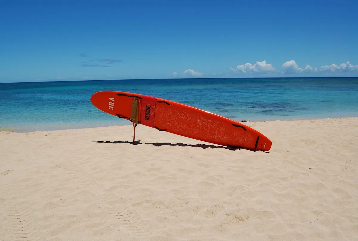 Fathers of Teen Lifeguard and Victim Speak out After Heroic Beach Rescue