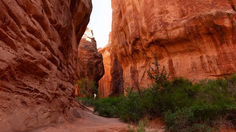 Tips for Top Utah Hikes: The Narrows and Fiery Furnace