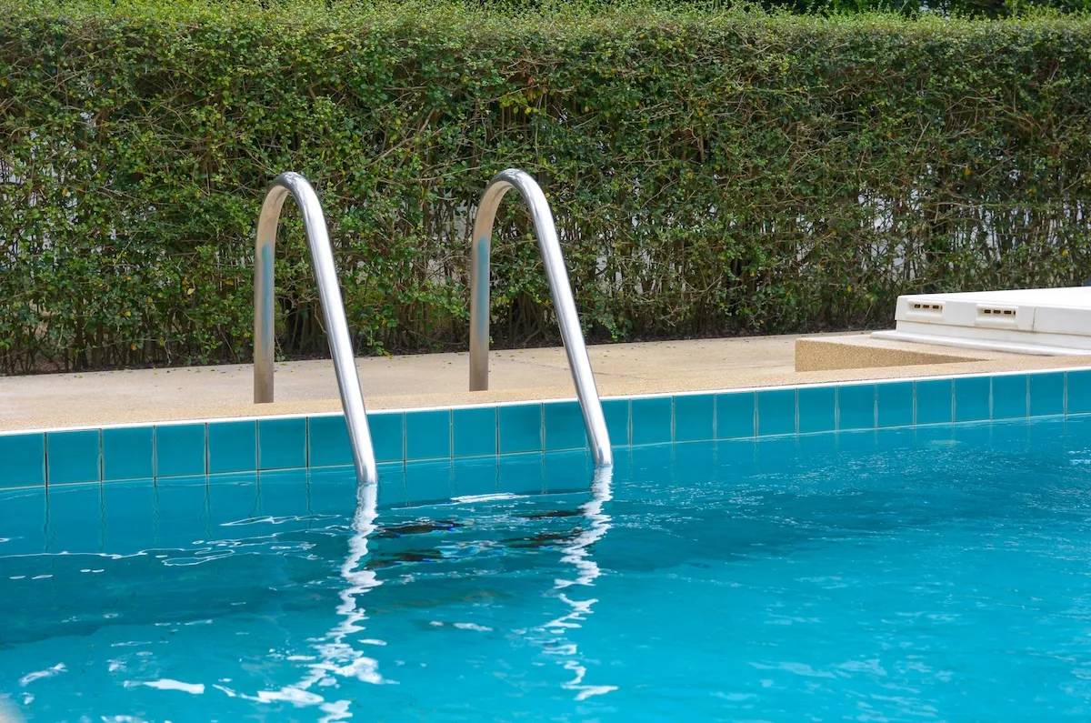 Black Bear Plays With Mermaid Dolls in Backyard Pool (Video)