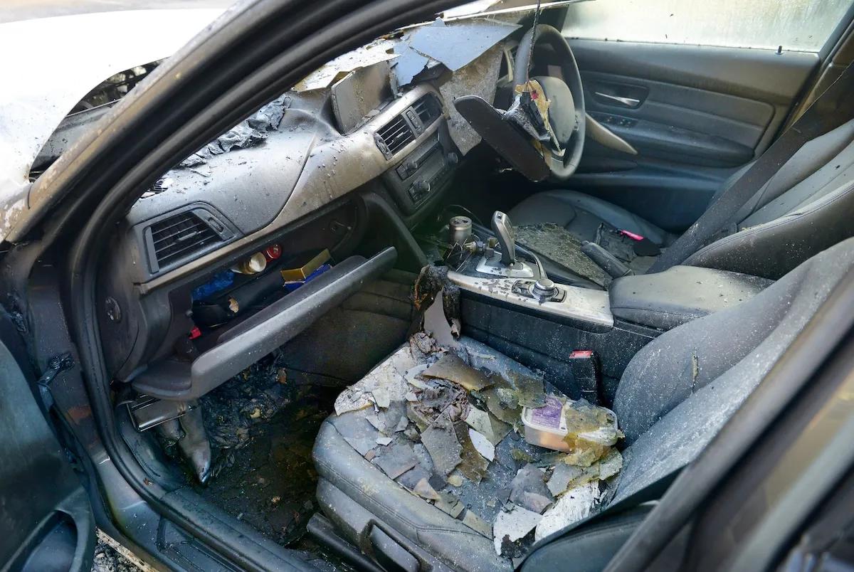 300-Pound Bear Dies After Being Locked in a Vehicle for Days