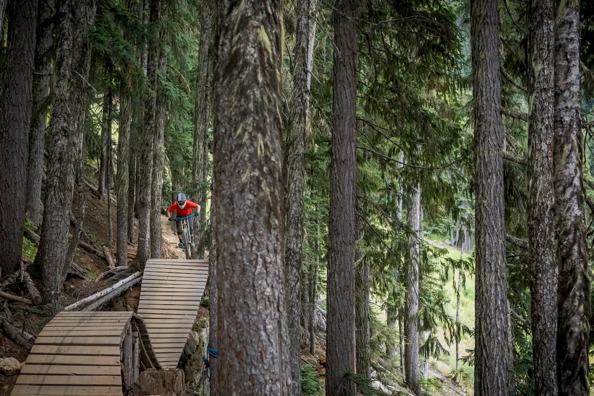 Mountain Bikers Nearly Run Into Bears in Whistler Bike Park