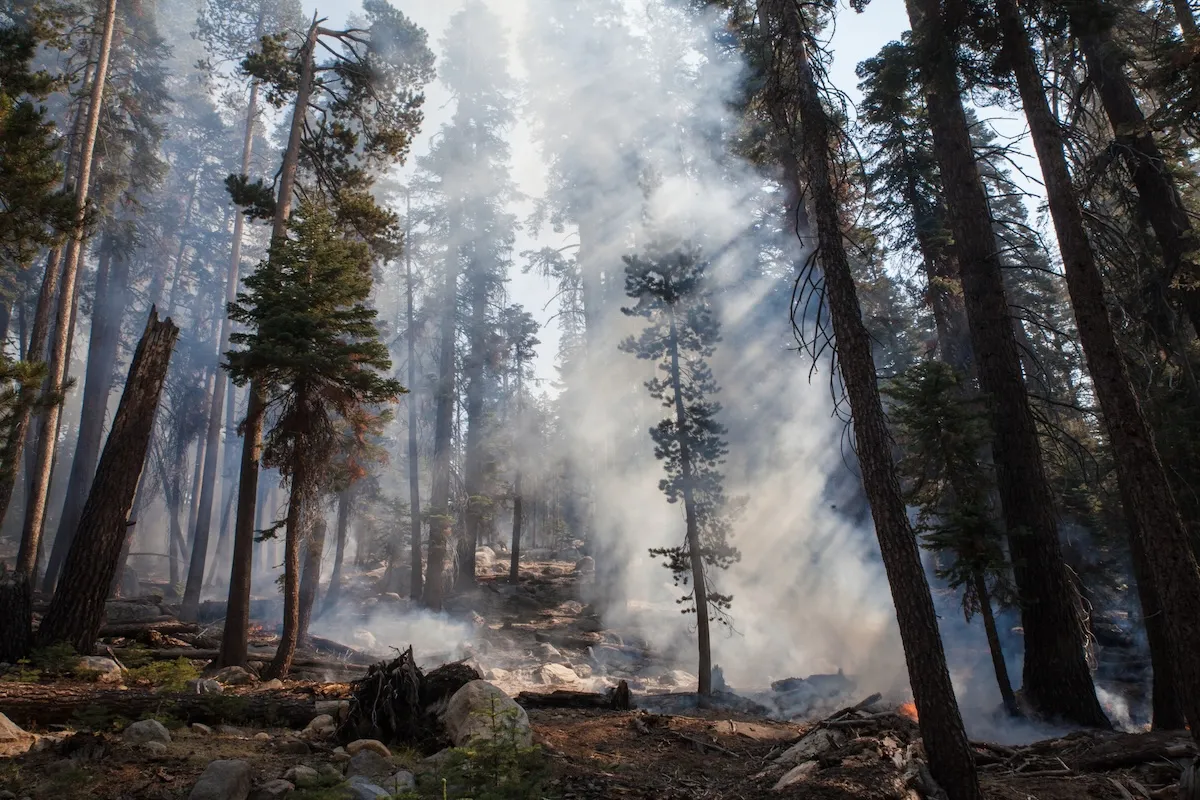 pilot helicopter yosemite fire
