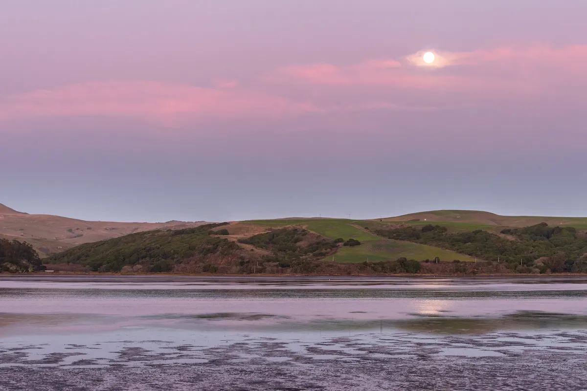 Two Friends Died During Midnight Canoe Trip in Tomales Bay