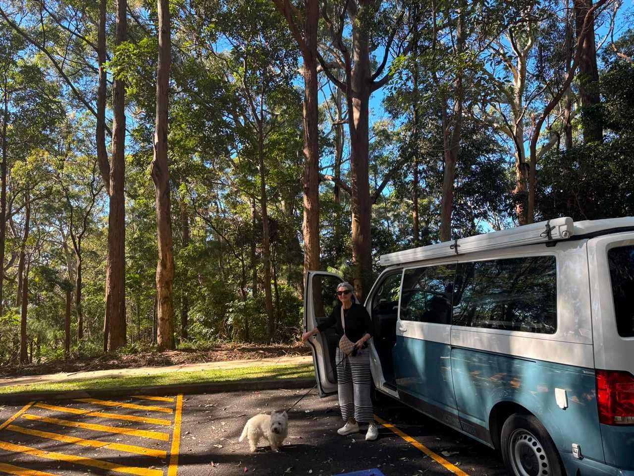 Best Coastal Campervan Destinations in Australia