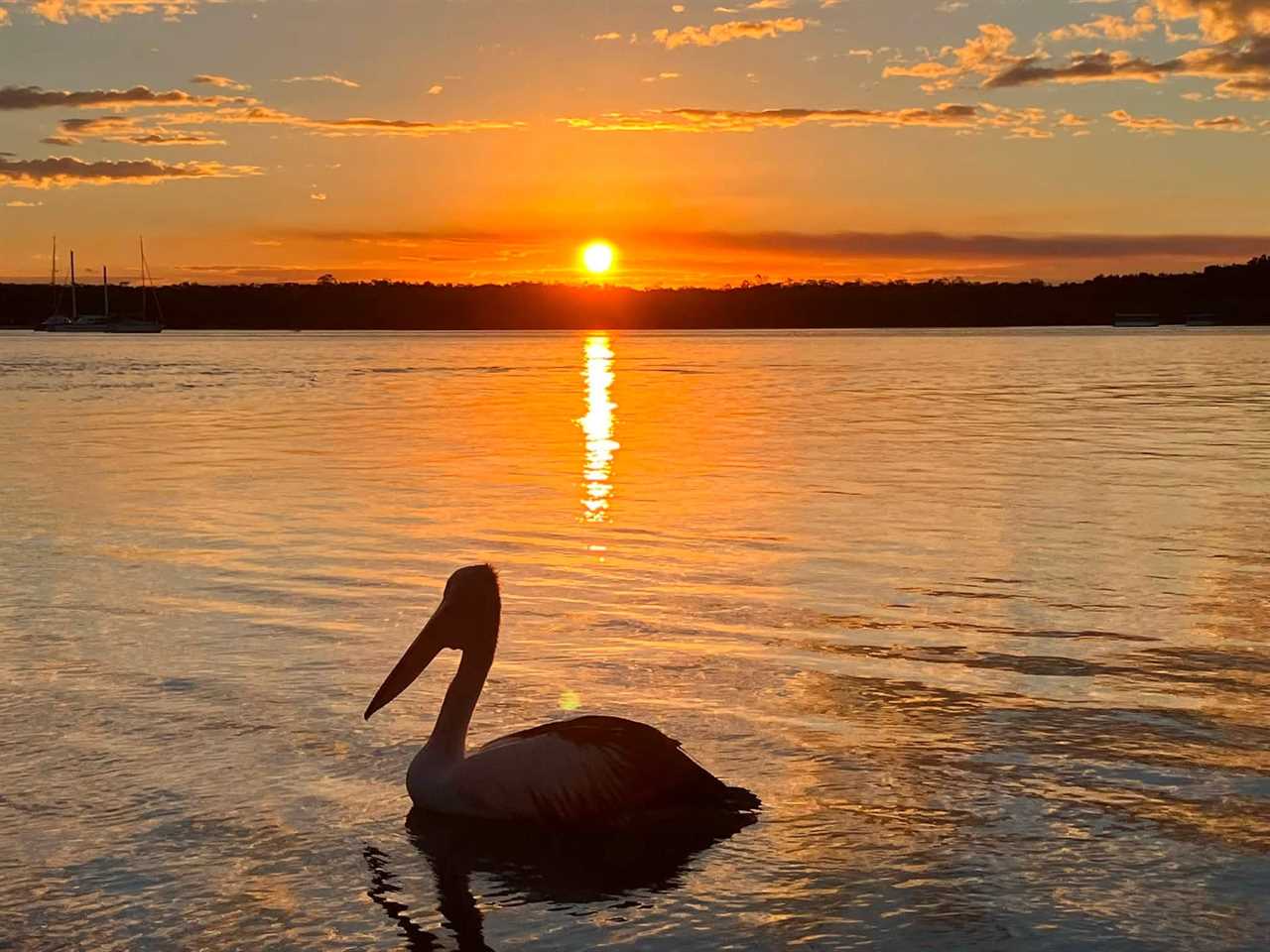 Noosa Camping