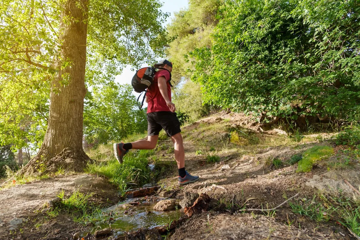 trail runner bears