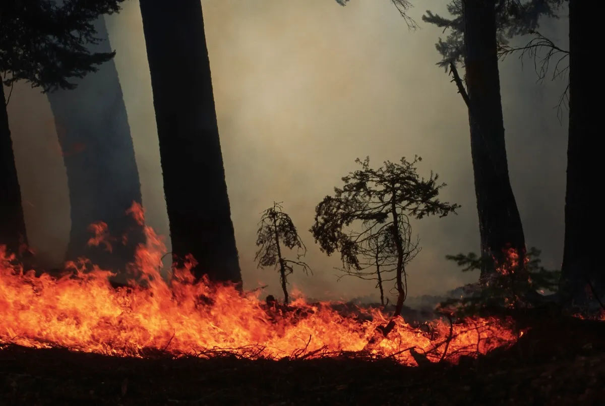 An Abandoned Campfire Caused Yosemite’s Dome Fire