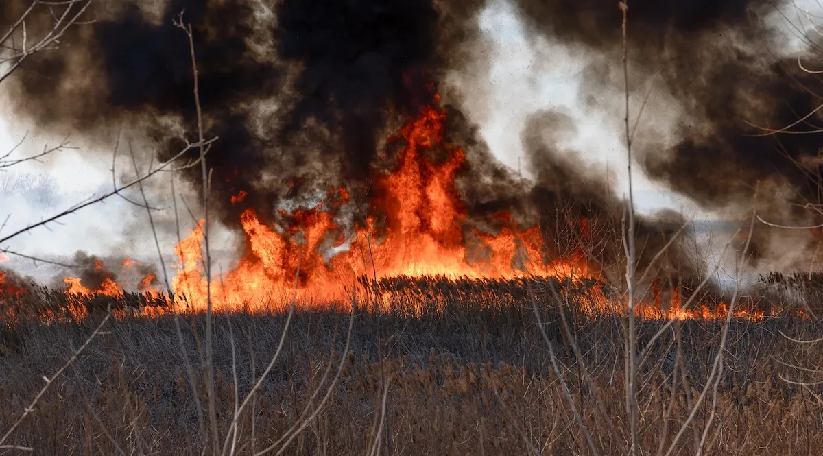 Mountain Biker Gets Way Too Close to Wildfire (Video)