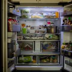 WATCH: Bear Steals Alcoholic Beverage From Florida Fridge