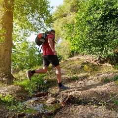Trail Runner Goes on 6K Run and Spots How Many Bears??!