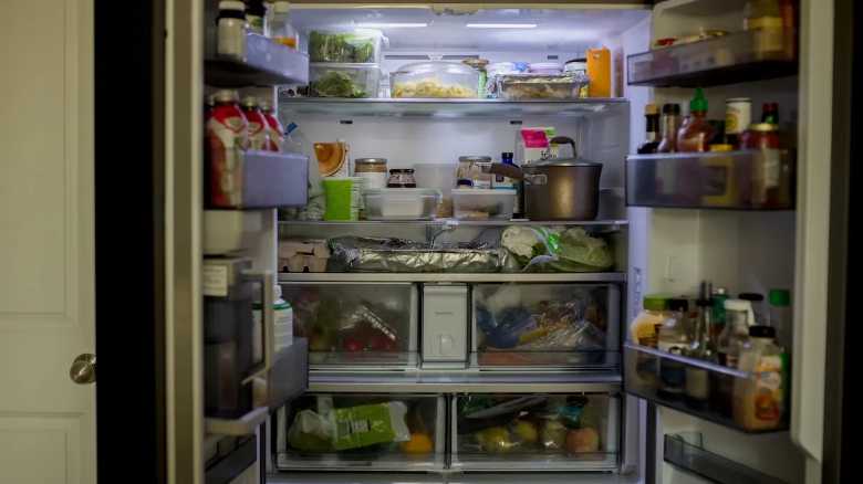 WATCH: Bear Steals Alcoholic Beverage From Florida Fridge